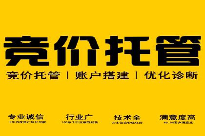 搜索引擎营销新篇章：SEM竞价推广的五大经典案例